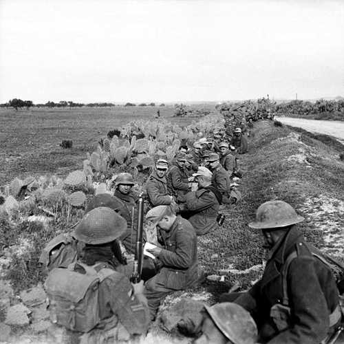 POWs in Tunisia