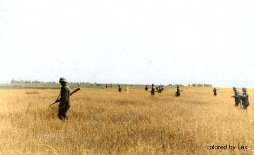 Field