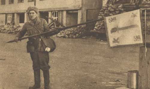 Unknown Swedish volunteer