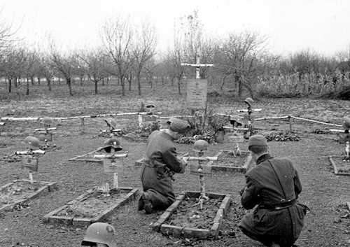 Graves of the fallen