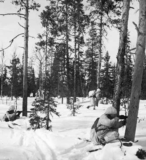 Finnish troops