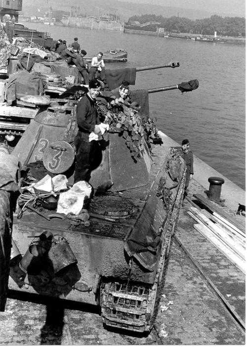 Panthers waiting near the Seine