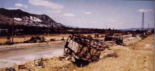 Strafed German Convoy