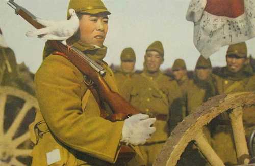 Bird-friendly Japanese soldier