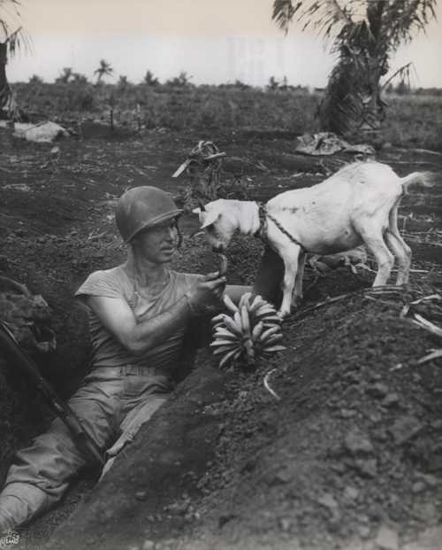 Sharing bananas
