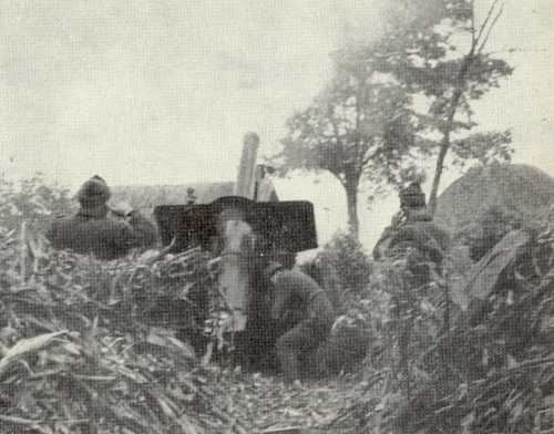 Romanian artillery. Tapiosuly, Hungary
