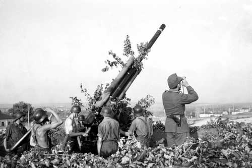 AA-gun in position