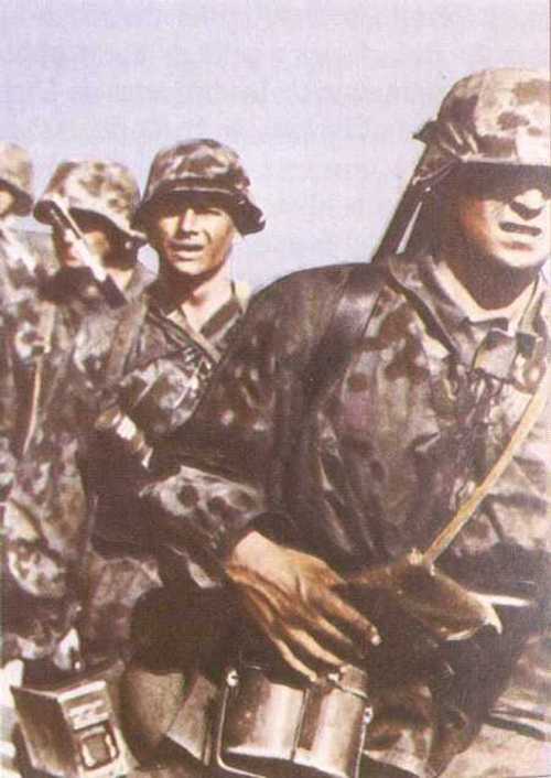 Waffen SS Troopers