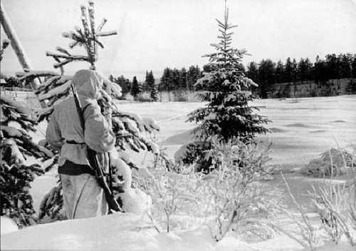 Silent sentry