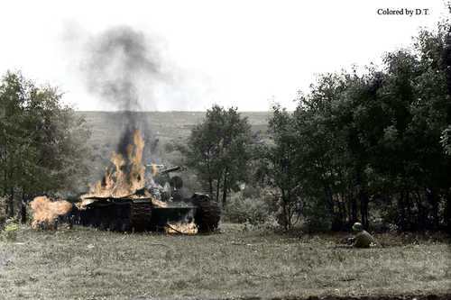 Kv1 burning