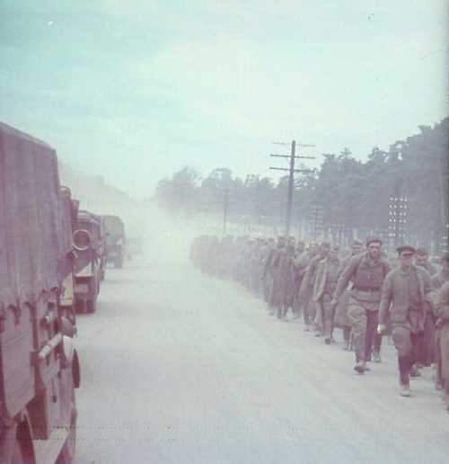 Column of soviet pows . Summer 1941