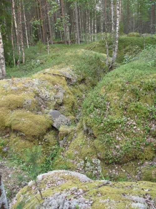 Murmansk trenches