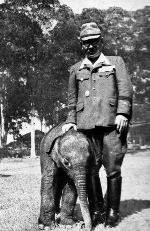 General Akira Mutō