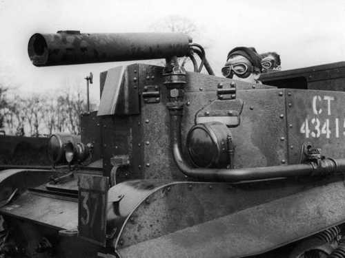 "Wasp" flame thrower