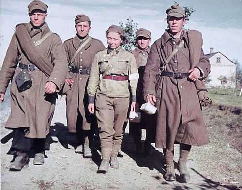 Polish PoW's