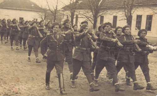 Romanian forces