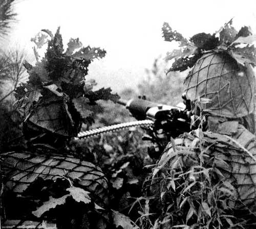 Jungle Combat