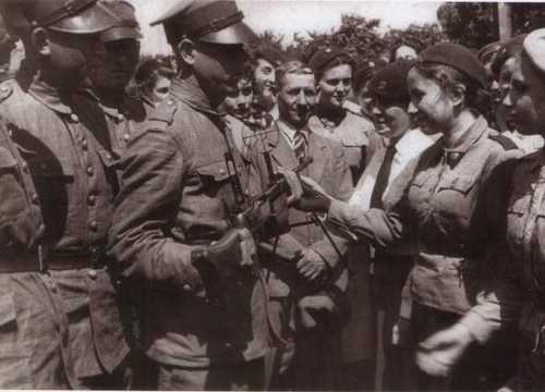 MG wz.28
