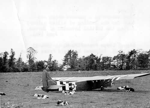 Cows and a Glider