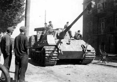 King Tiger pausing