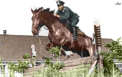 Rider