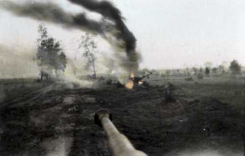 Tiger tank on field.
