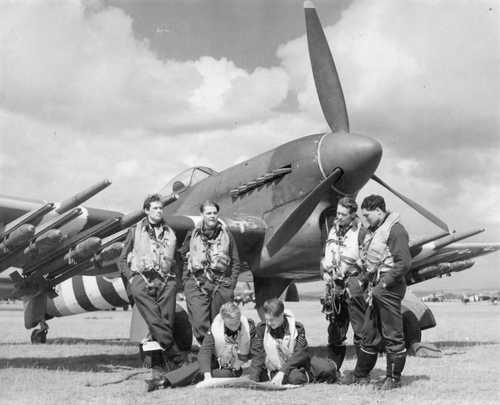 Hawker Typhoon war bird