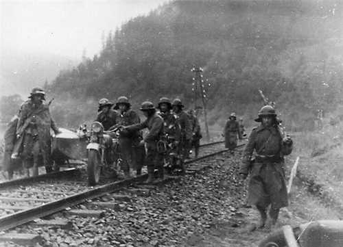 Hungarian scouts