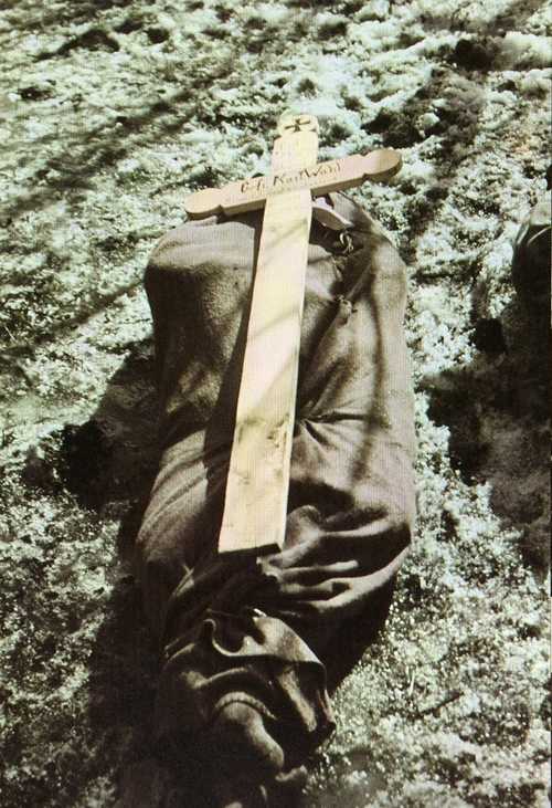 German casualty in Russia