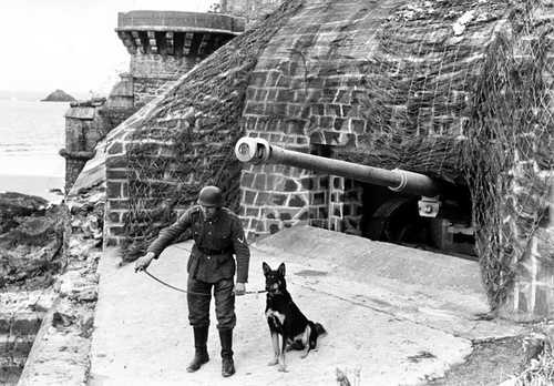 Coastal battery