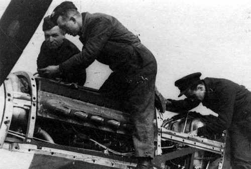 Division 309 'Ziemi Czerwieńskiej'