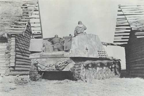 Nashorn in ambush I
