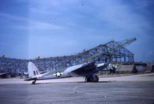 American Mosquito in Italy