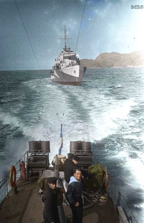 Navy