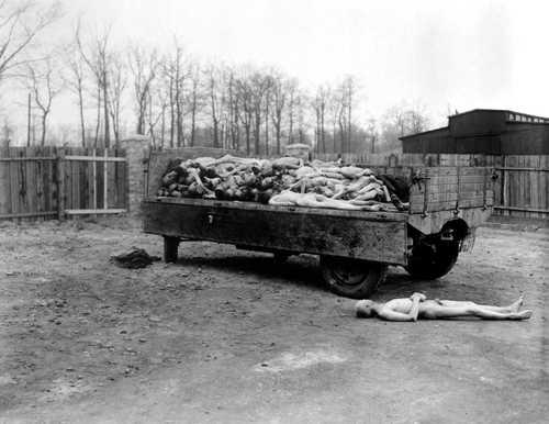 Truck Load of Bodies from Buchenwald