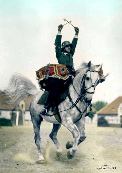Drummer beautiful on horse.