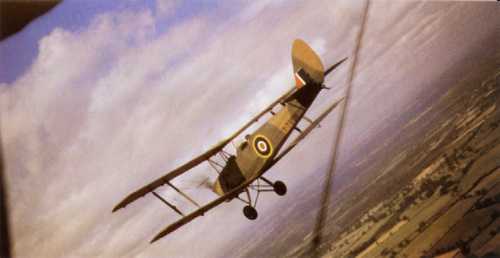 dh_tiger_moth