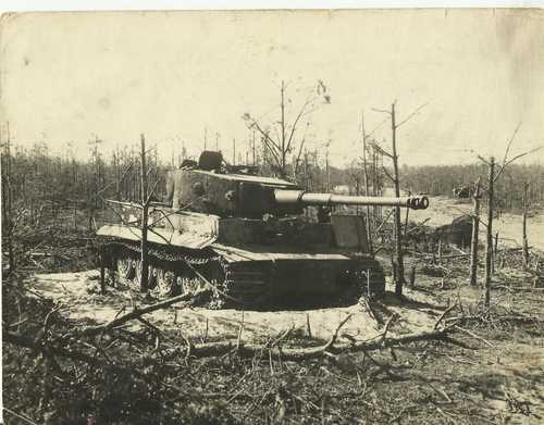Destroyed  Tiger.