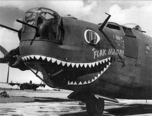 Flak Magnet