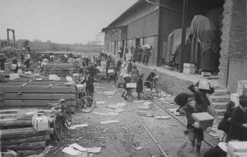 Looting