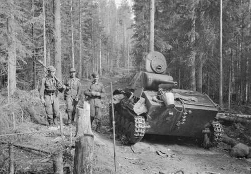 In the woods of the Karelian Front