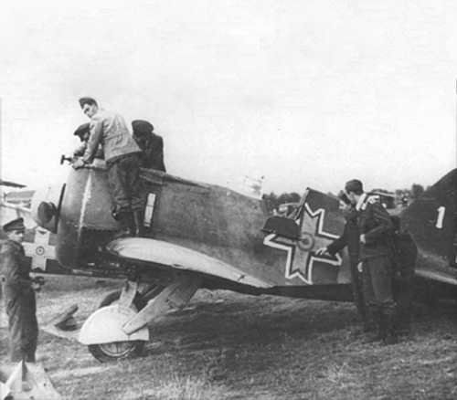 Romanian Polikarpov I-16