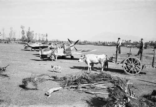 Spitfire and bullock cart