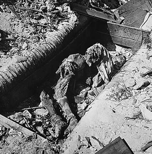 Wartime Casualty