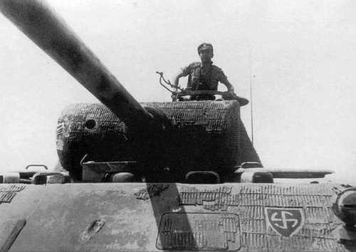 Wiking Panther.