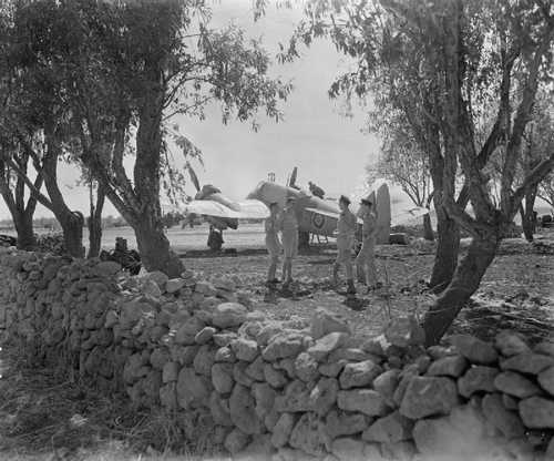 Beneath the Cassibile’s olive trees