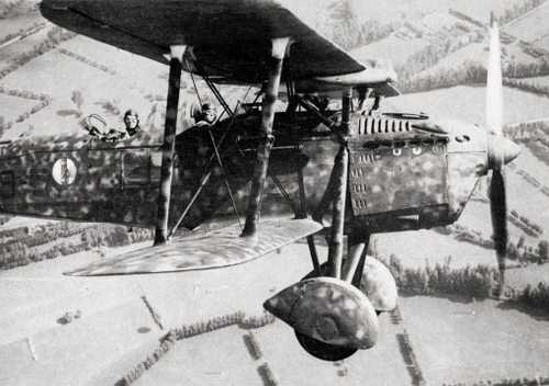 A disregarded but precious airplane
