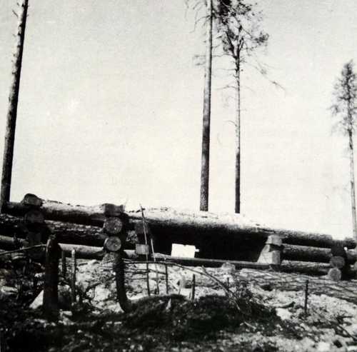 Korsukukkula