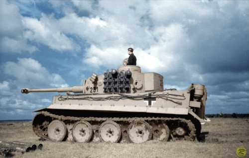 Tiger '231' (col.)