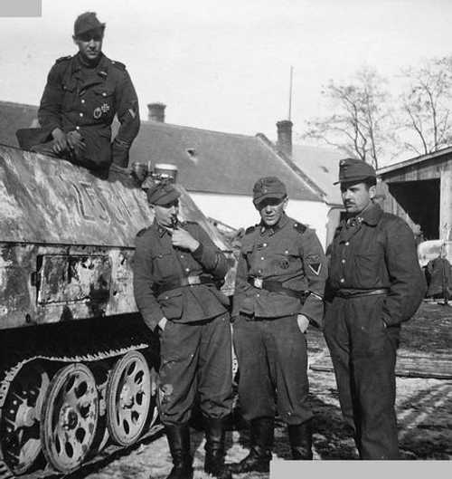 Wiking